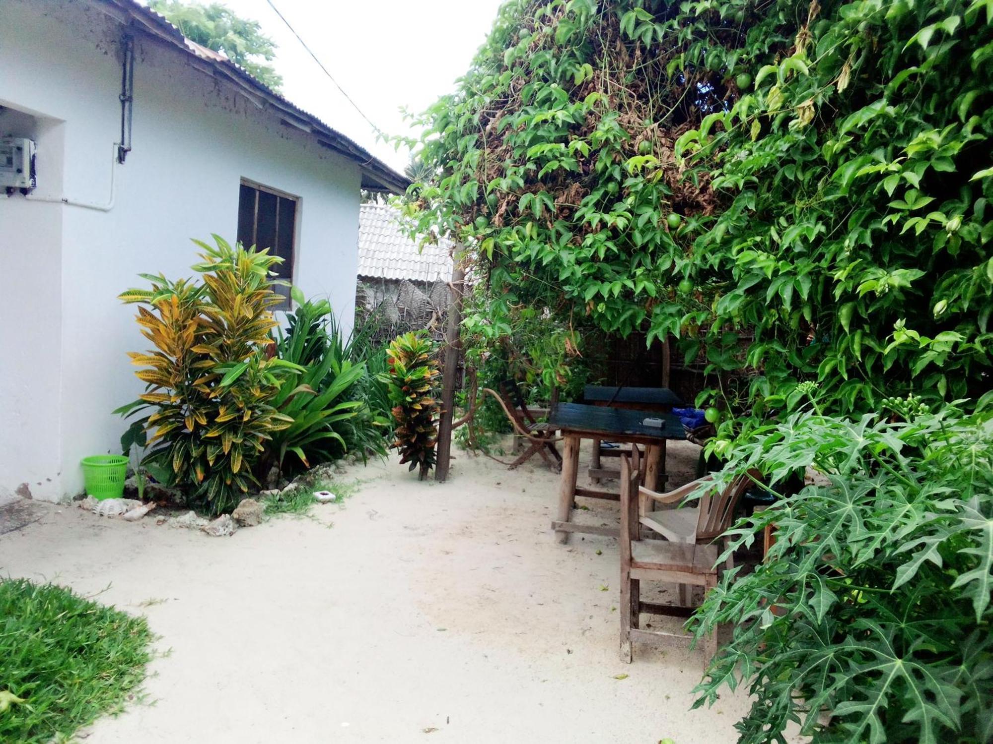 Moringe Home Stay - Village House Jambiani  Ruang foto